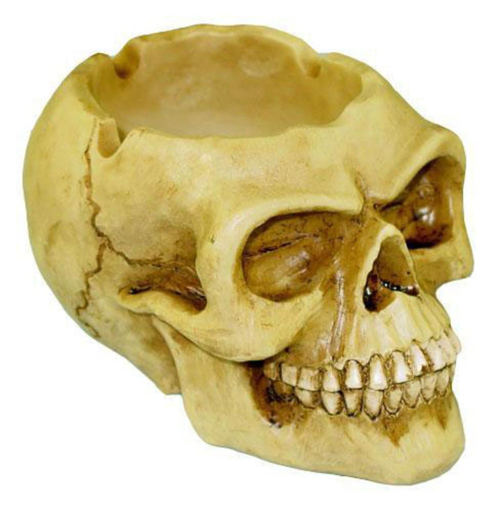 Skull Ash Tray (7441712054428)